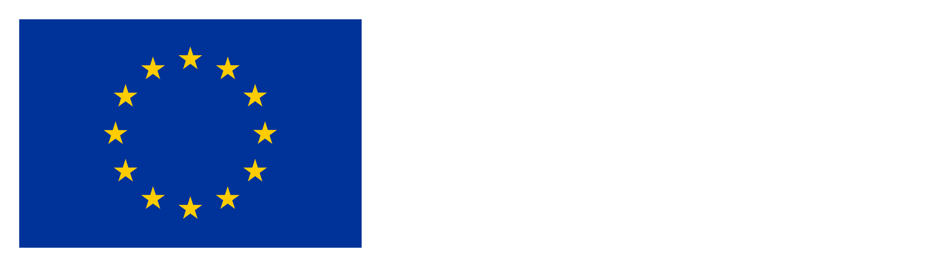 EU Banner
